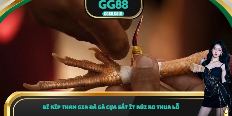 Bí kíp tham gia đá gà cựa sắt ít rủi ro thua lỗ