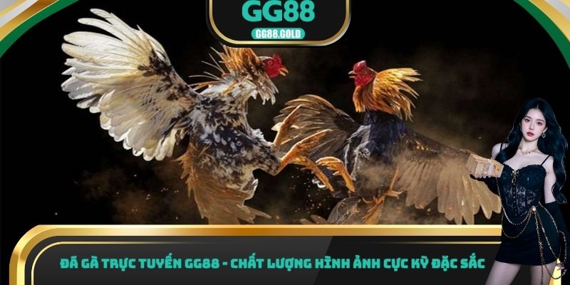 Đá gà trực tuyến GG88
